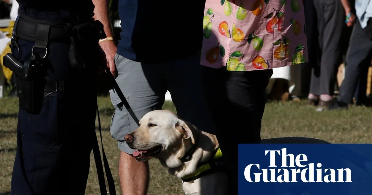 Woman illegally strip-searched by police ‘reasonably thought’ officers would call her a liar, judge says | Australian police and policing