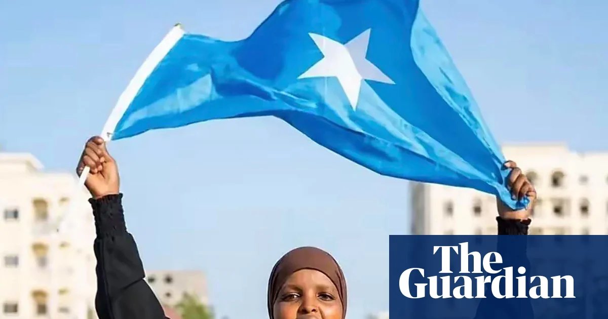 Outrage as woman jailed for three years after criticising Somali government online | Global development