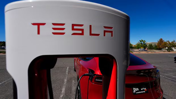 Chinese-made electric vehicles start arriving in Canada