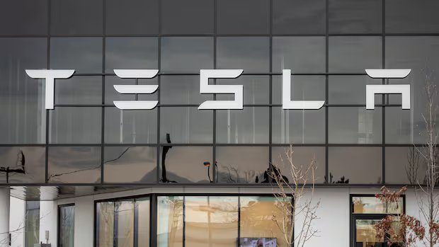 Tesla asks court to overturn exclusion from Manitoba EV rebate program