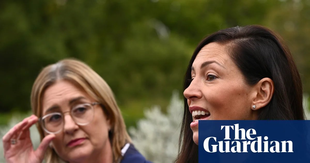 Victorian minister under fire for writing 33 character references including for taxi driver who assaulted women | Victorian politics