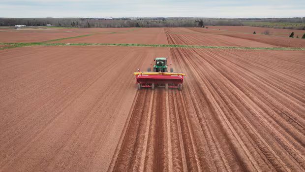 P.E.I. farm income dropped sharply in 2025 as historic drought and rising costs hit hard