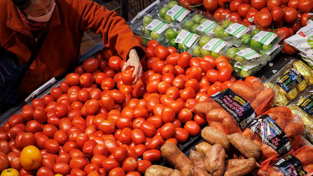 Too soon to declare a recession, says Canada’s unofficial authority on calling them
