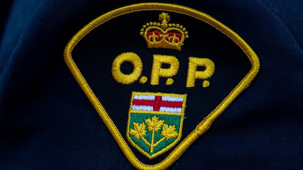 3 dead after car and 4 motorcycles crash in Kawartha Lakes, police say