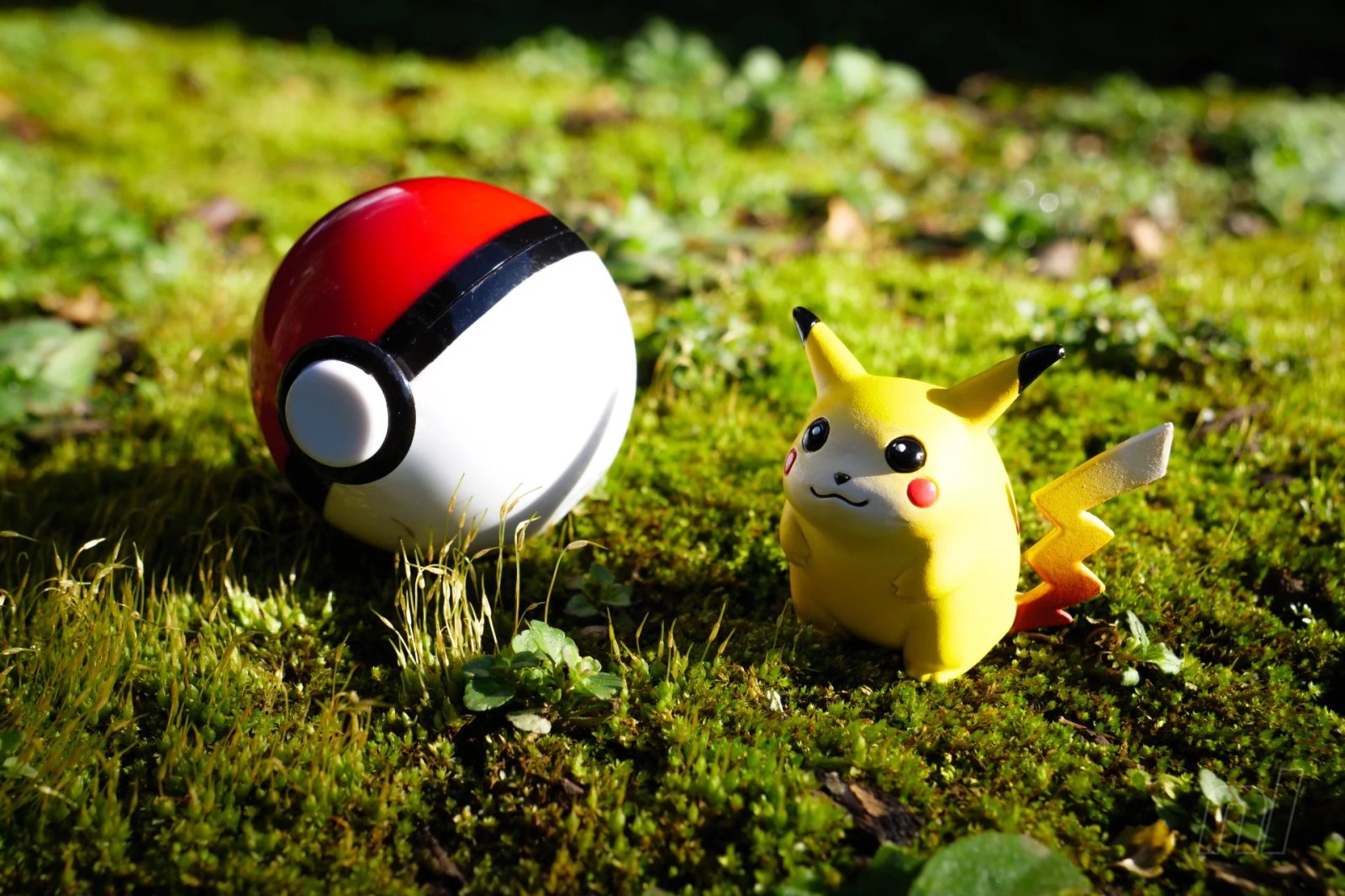 By Definition, Pokémon TCG Is No Longer A Hobby
