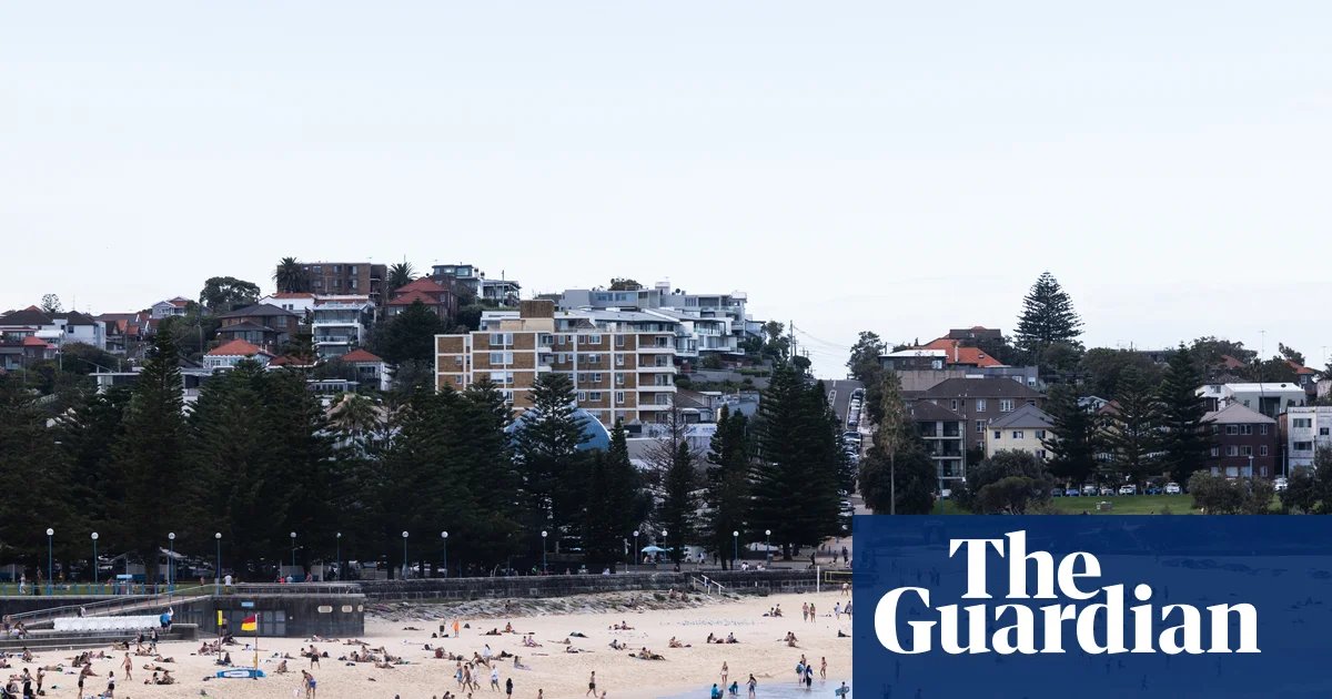 Woman in critical condition after shark attack at Coogee beach | Sydney
