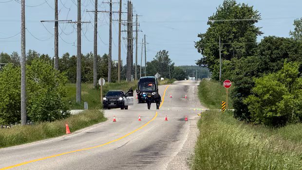 5 children killed in a crash near Kitchener-Waterloo: OPP