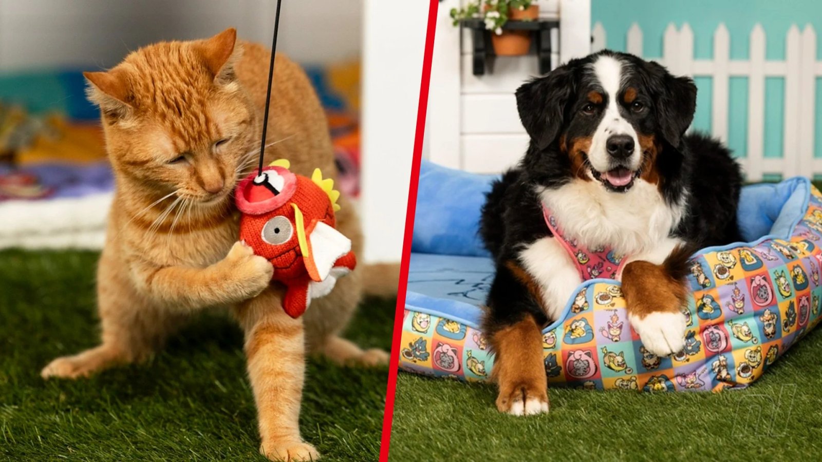 Gotta Fetch ‘Em All! Your Pet Will Love Pokémon’s Latest Merch Line