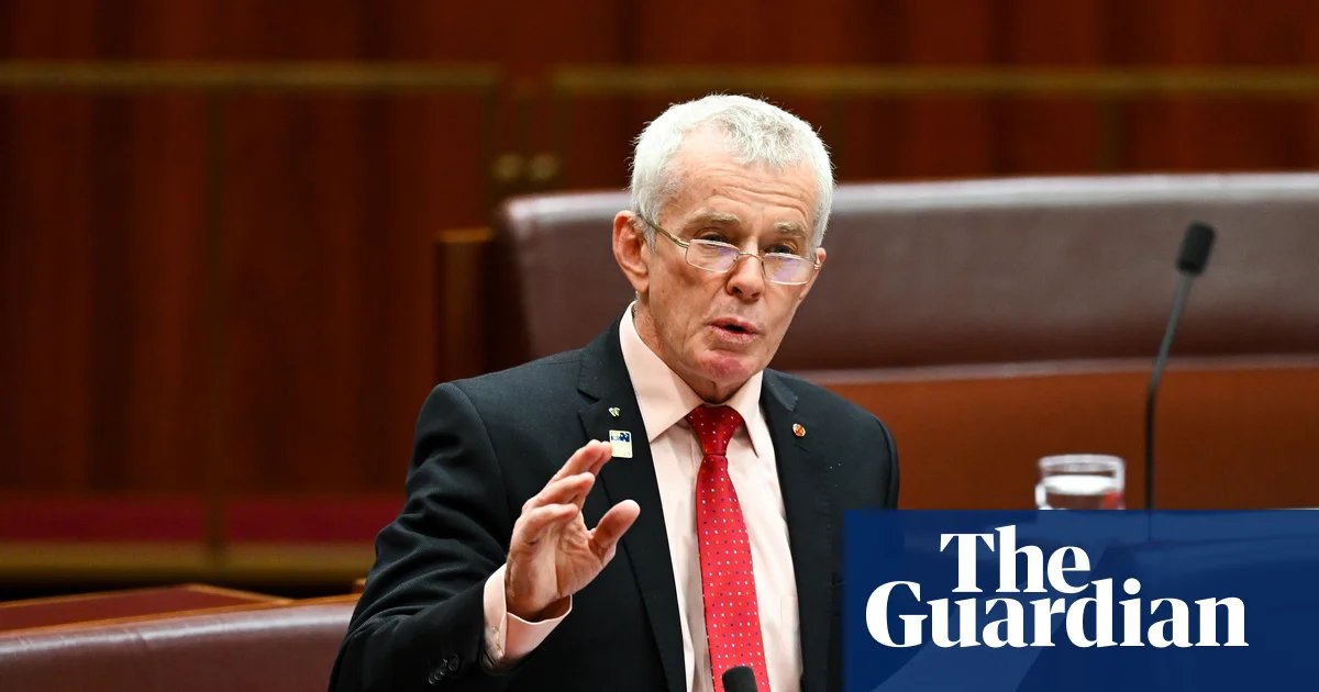 One Nation senator Malcolm Roberts says he will push for party to adopt blanket abortion ban | One Nation