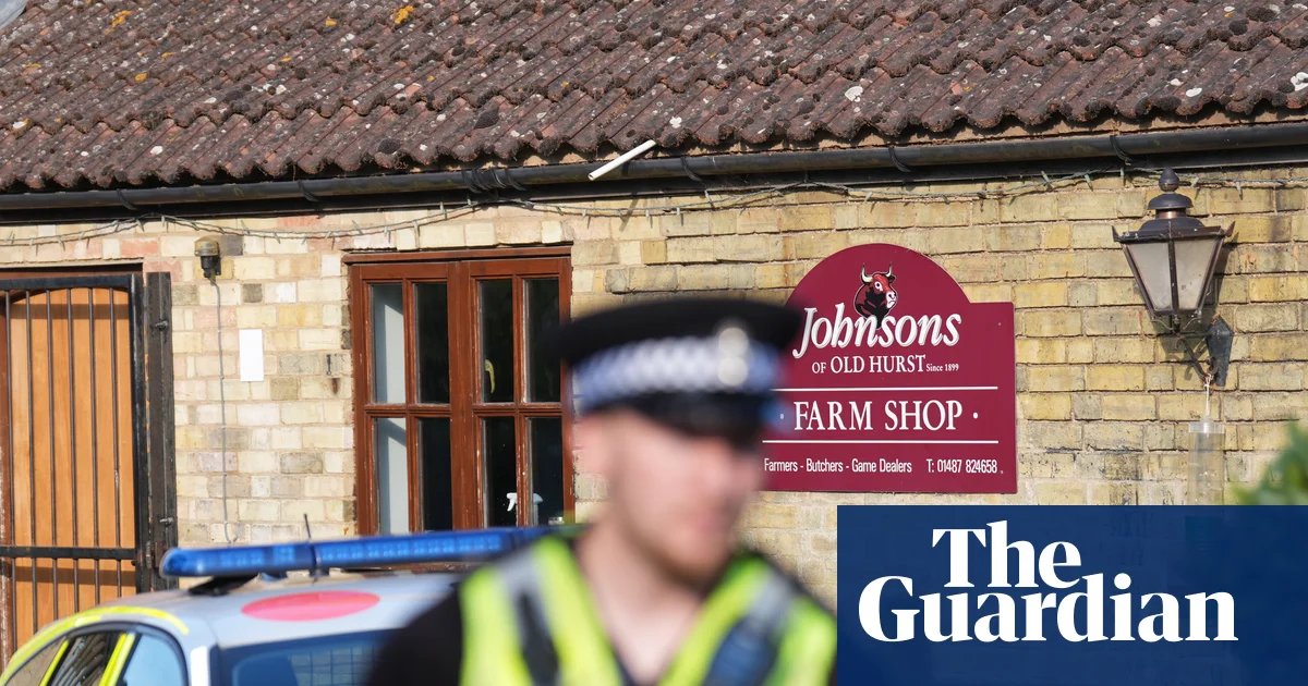 Man released on bail after boy, three, critically injured in zoo crocodile enclosure | UK news