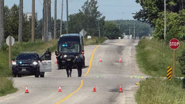 6th person dead in hospital after fatal collision in Mapleton, Ont.: OPP