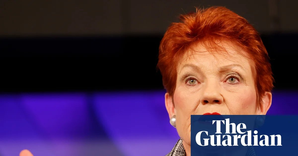 Pauline Hanson’s stance on paid parental leave and childcare could turn clock back by decades, economists warn | Australian politics