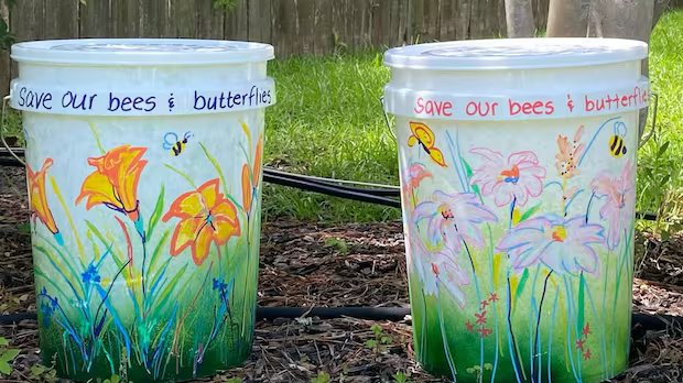 Mosquito dunks are selling out as bug season and ‘bucket of doom’ trend collide