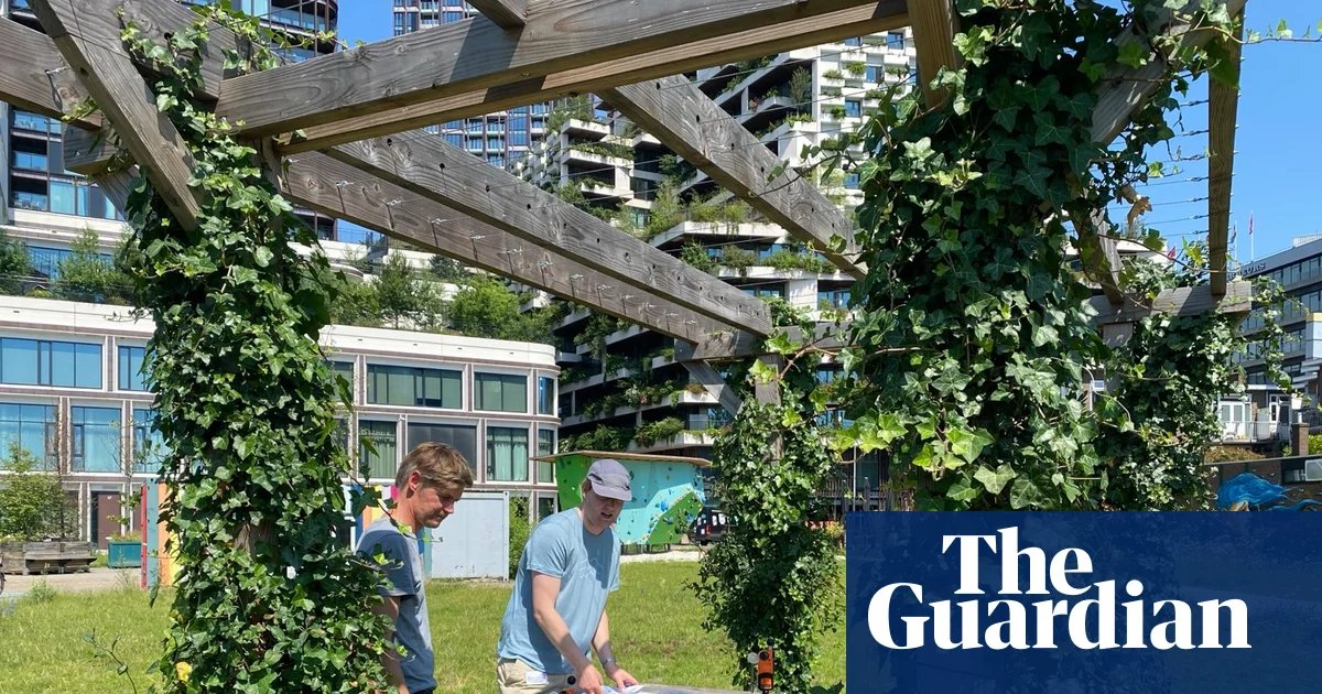 From mobile jungles to shadow art: how Dutch people try to beat the heat | Netherlands