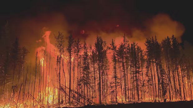 Provincial auditor urges Sask. to include all expected wildfire costs in budgeting