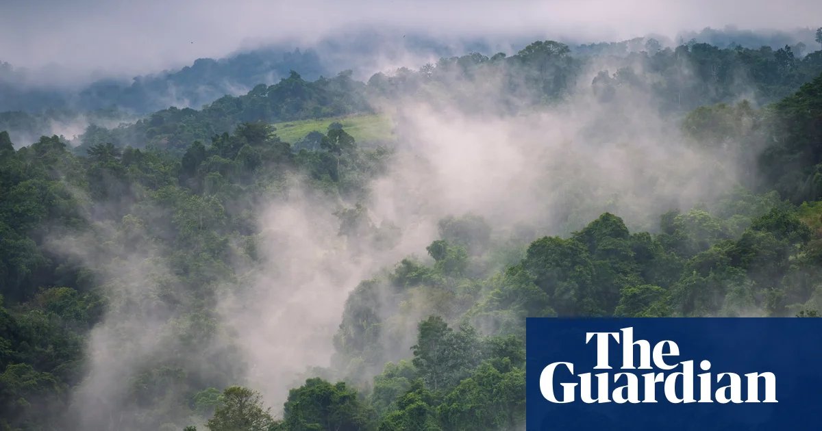 Papua New Guinea faces severe food shortages as El Niño brings frost and drought | Papua New Guinea