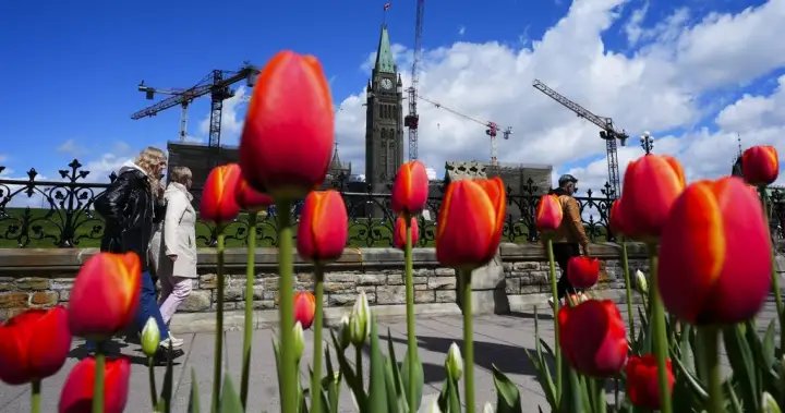 Canada still doesn’t have a foreign influence registry, and advocates are worried – National