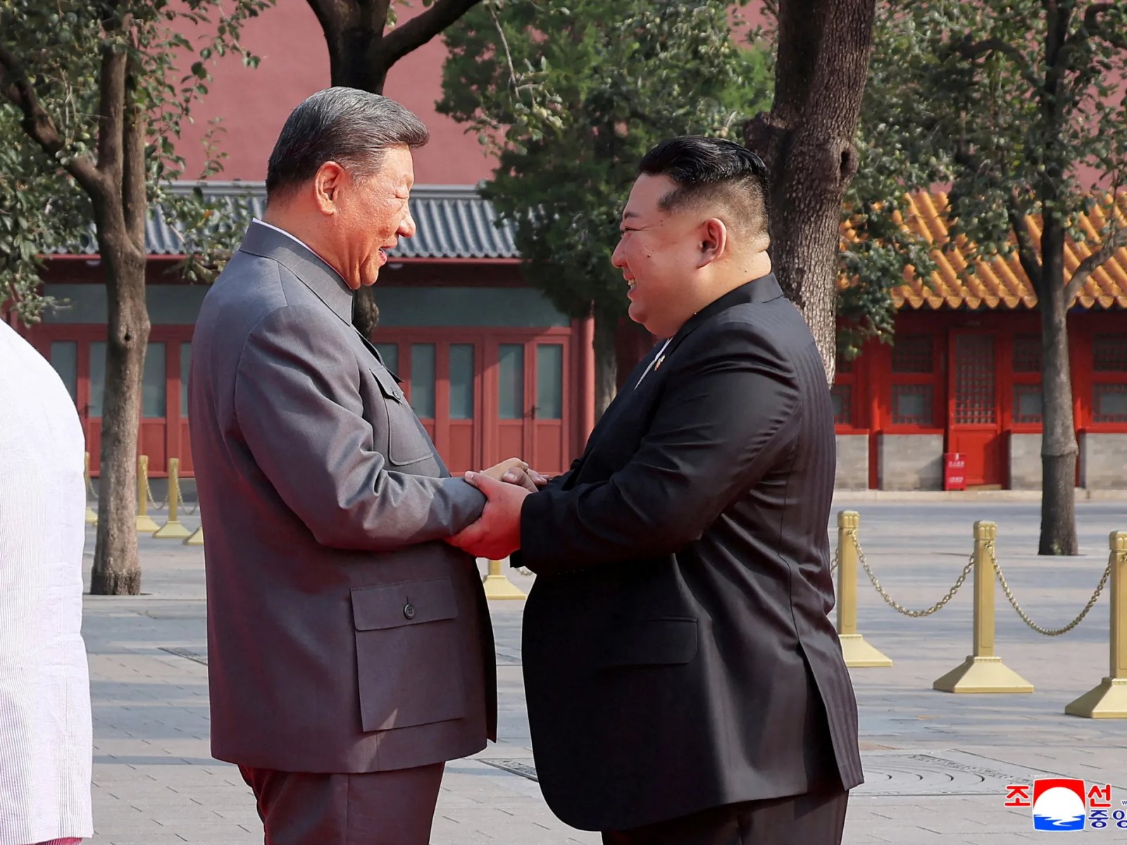 Why is Chinese President Xi Jinping visiting North Korea now? | International Trade News
