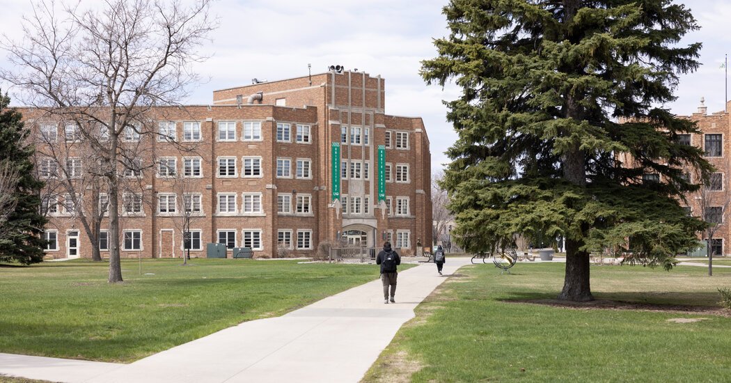 A.I. Degree Programs Surge as Colleges Seek Students and Relevance