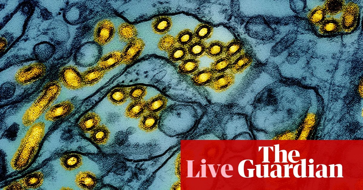 Australia news live: arrival of H5N1 bird flu a ‘genuine wildlife emergency’, experts say; fuel excise rebate extended at reduced rate | Australia news
