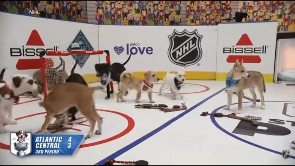 WATCH:  'Stanley Pup' brings fun as Stanley Cup Final begins