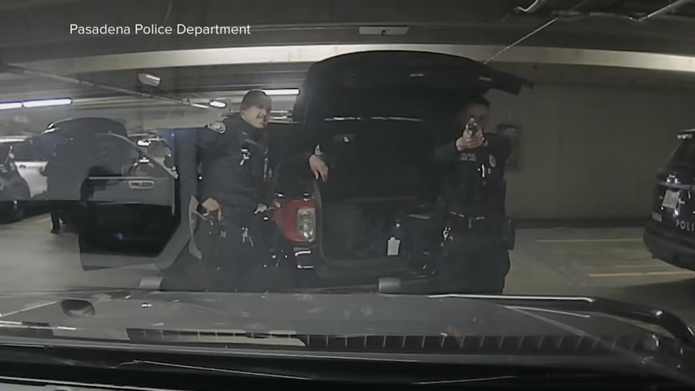 WATCH: California officer accidentally shot by colleague during 'horseplay'