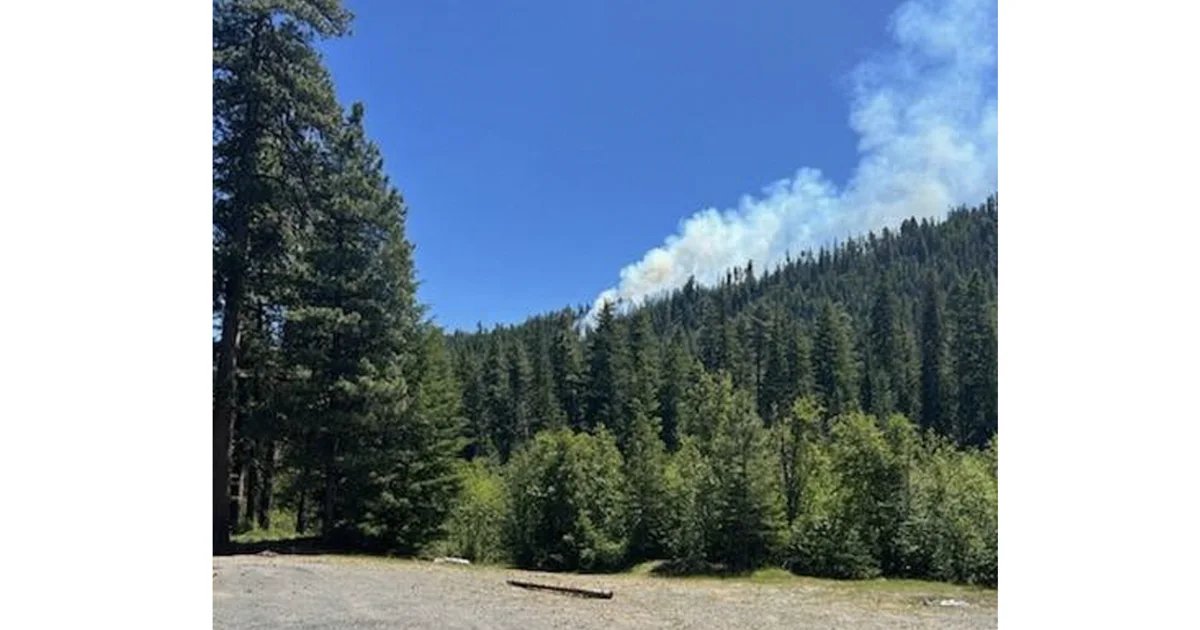 Pilot ejects before fighter jet crashes into mountain in Washington state woodlands