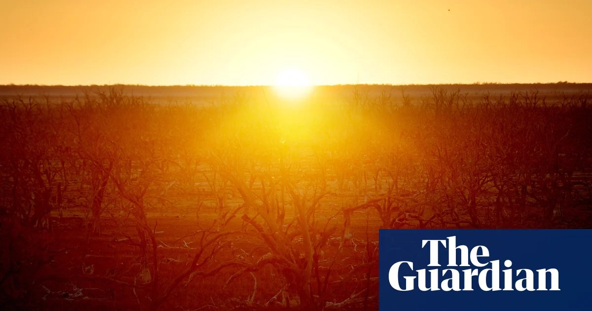 El Niño expected to develop in coming months, bringing hotter and drier weather to eastern Australia | Australia weather