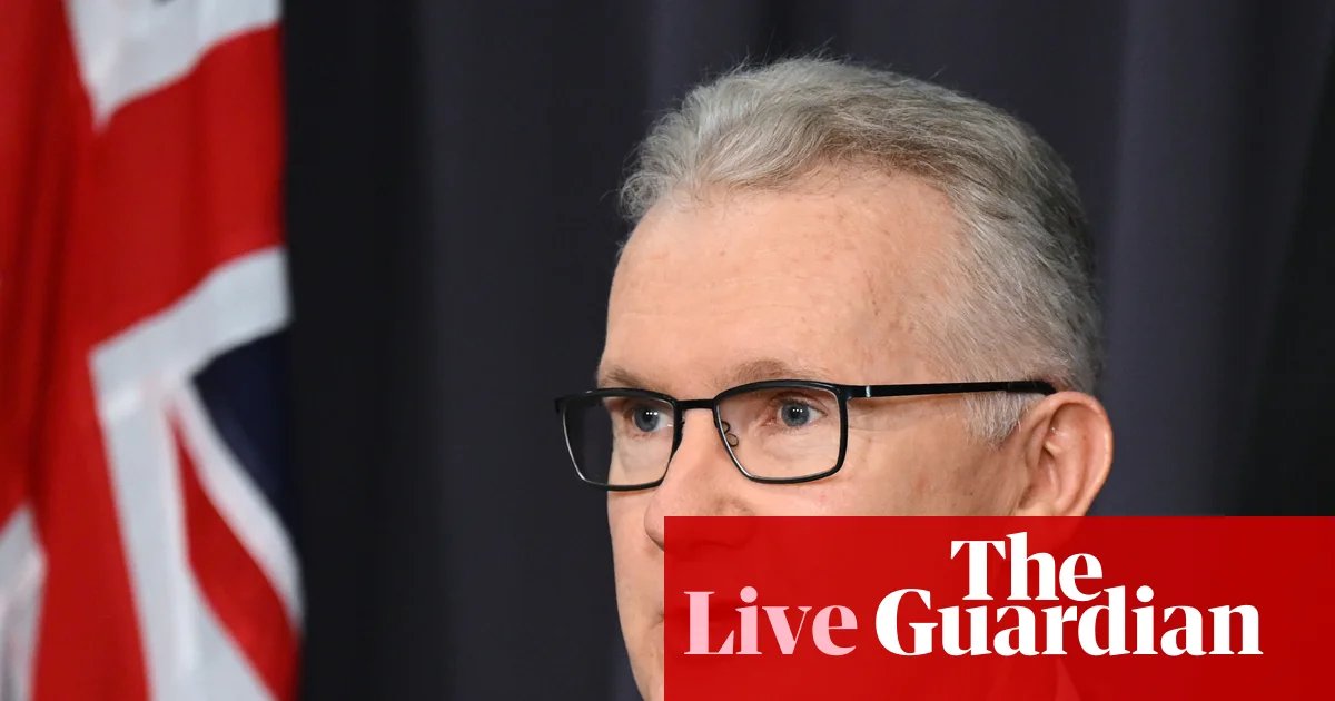 Australia politics live: Woman held in Syrian detention camp issued permit to return to Australia, Tony Burke says | Australia news