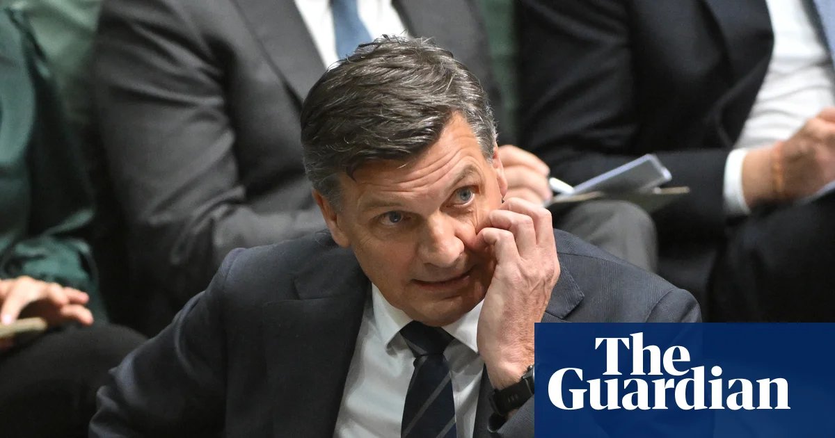 Taylor won’t say if he supports multiculturalism as Chalmers says he’s trying to ‘out-One Nation One Nation’ | Australian politics