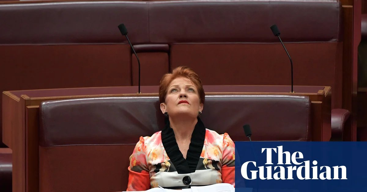 One Nation’s ‘incredibly sloppy’ financial reports reveal more than $1m in missing or worthless assets | One Nation