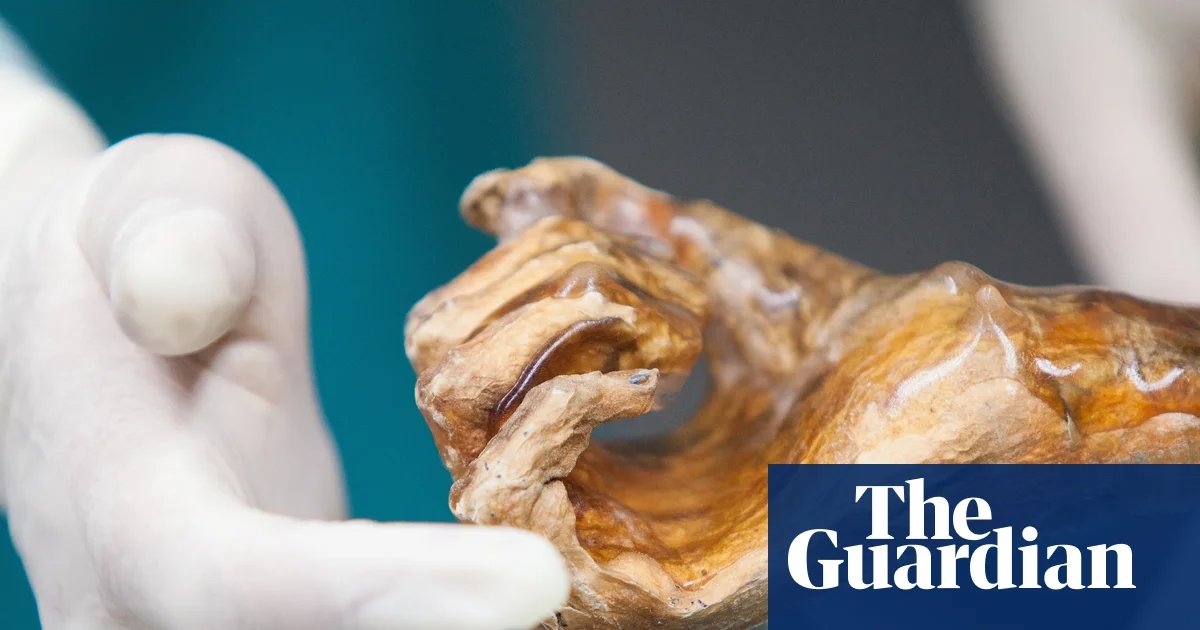 Scientists make sourdough bread using yeast found in 5,000-year-old mummy | Science