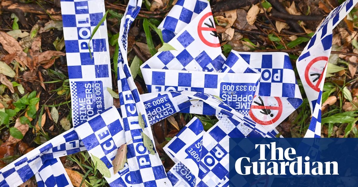 ‘Imminent threat’: charges laid against 13-year-old who allegedly planned attack on Queensland school | Queensland