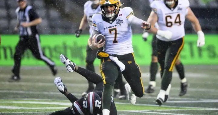 Fajardo directs Elks to 29-21 win over Redblacks – Edmonton