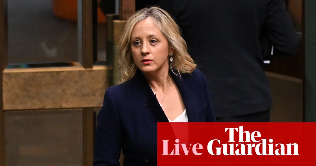 Australia politics live: McIntosh doubles down on call for Liberal ‘rebrand’; PM backs Hogan on Hanson | Australia news