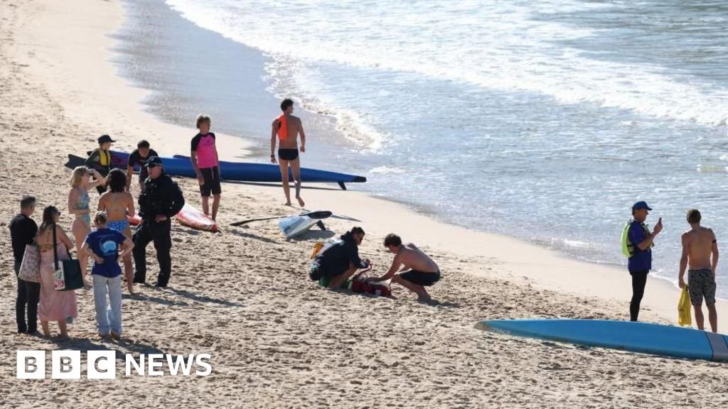 Woman seriously injured in shark attack at Sydney beach