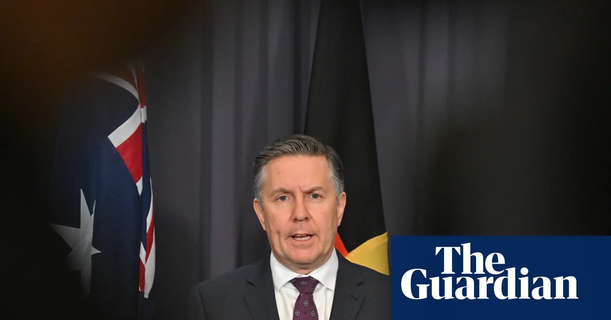 Butler warns Coalition against using NDIS cuts as ‘pawn in bigger game’ and says bill delays could cost billions | National disability insurance scheme