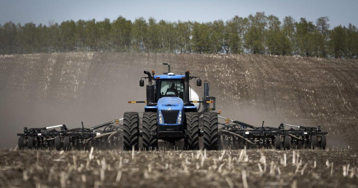 Competition Bureau to examine food supply chain competition