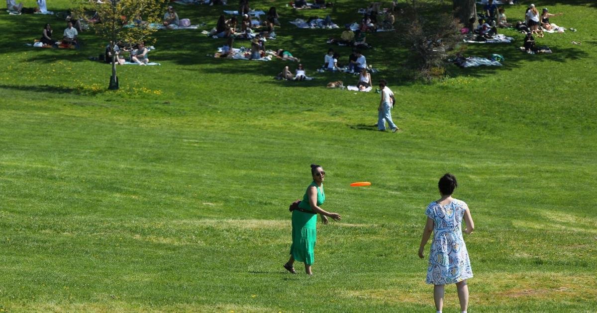 Free transit, parks for all and a return to 'People City': Here’s what these Torontonians would do if they were mayor