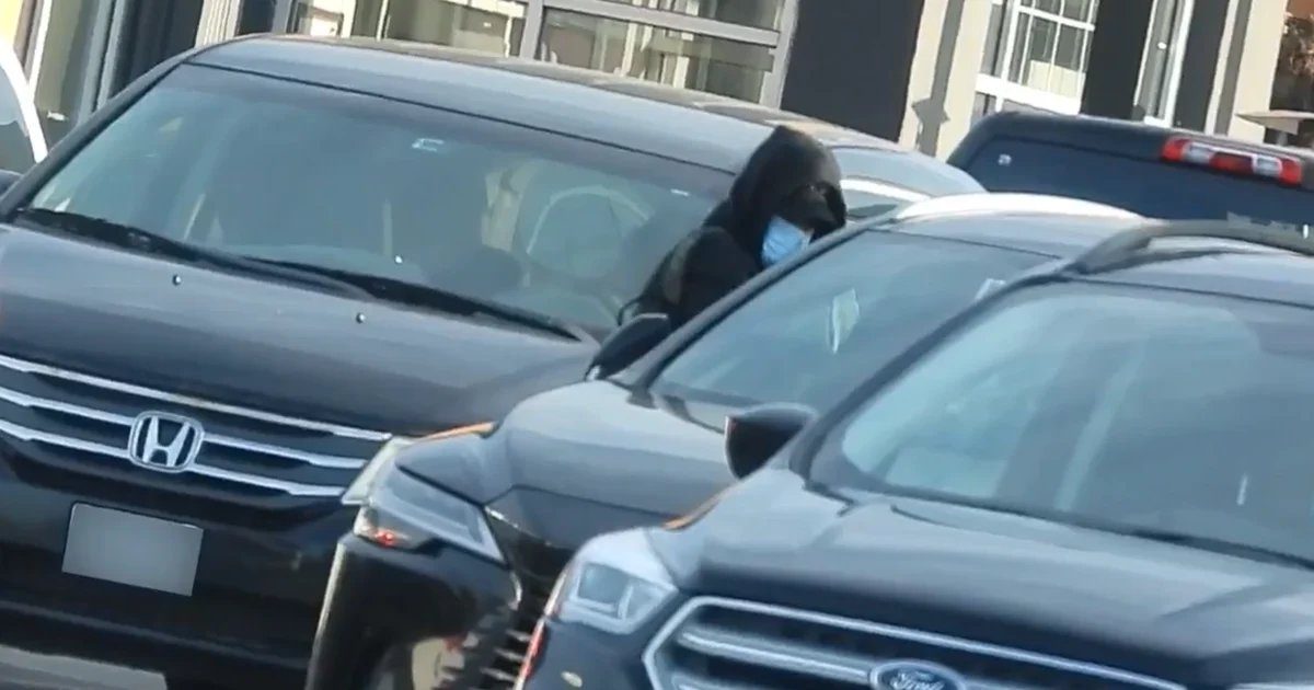 2 Quebec men allegedly linked to over 100 car thefts: Halton police