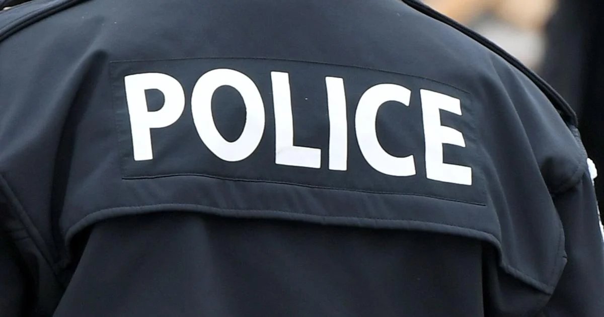Bones found in Barrie park believed to be human remains, police say