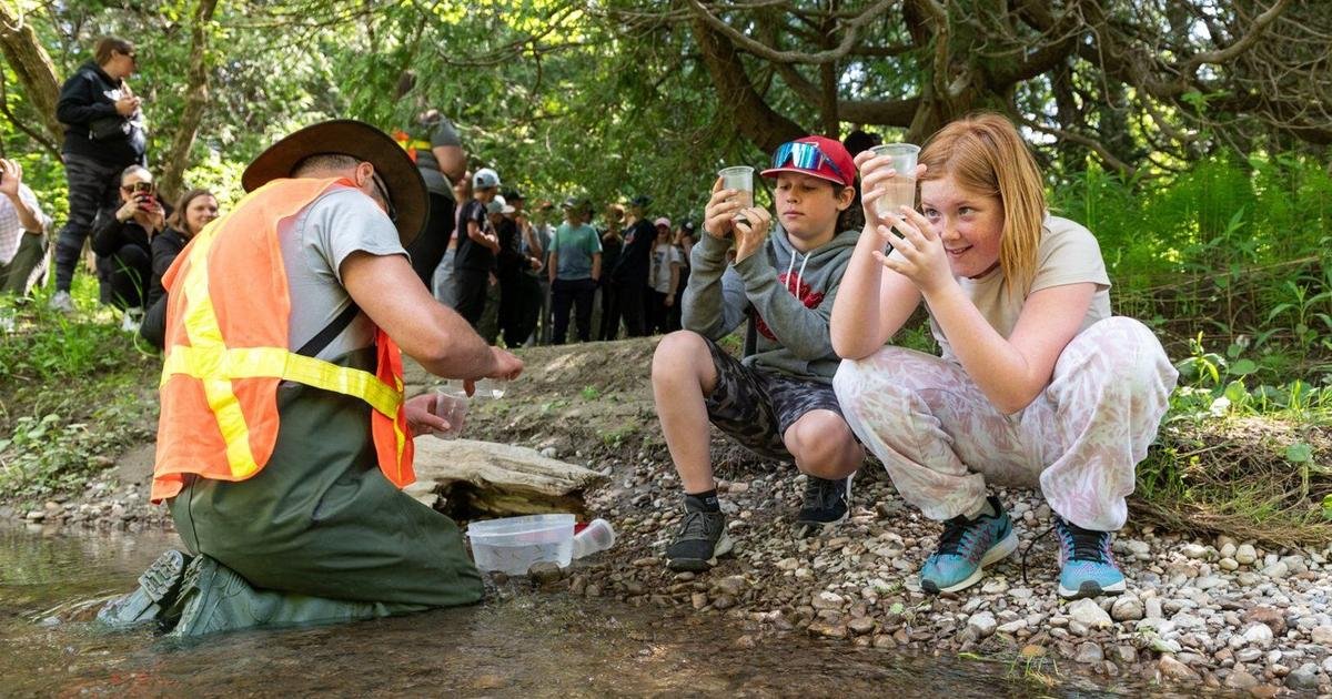 ‘Bring them back’: Students help restore Atlantic salmon population in Lake Ontario