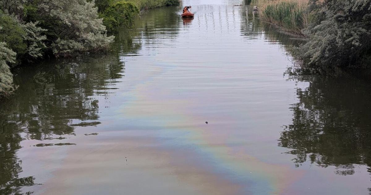 Crews cleaning up diesel spill in Toronto's Mimico Creek as investigation underway to determine source