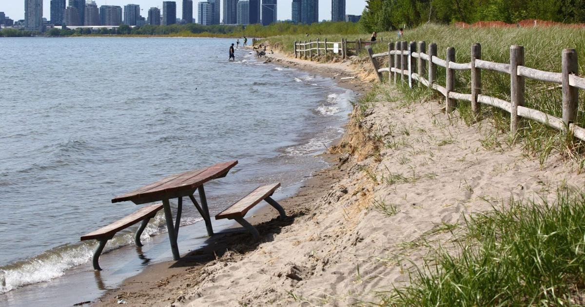 Hanlan's Point beach is beloved by Toronto's gay community — but at risk of disappearing. How do we save it?