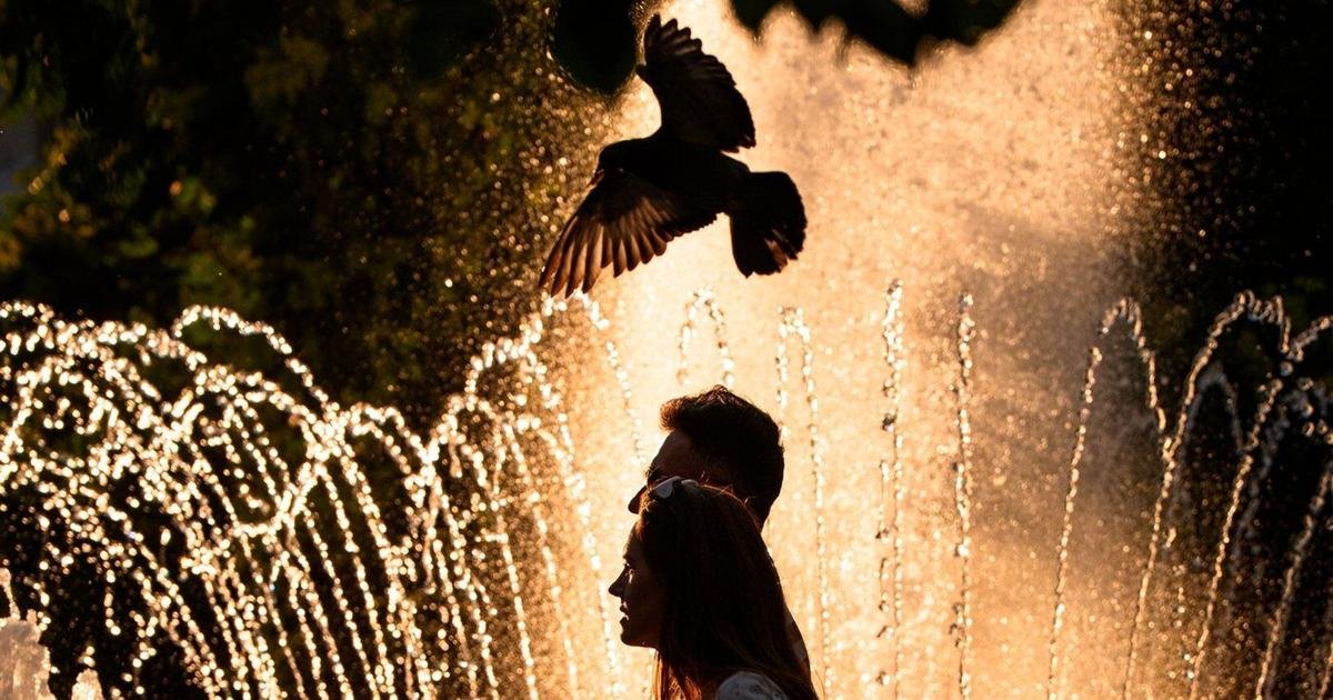 France records around 1,000 additional deaths amid extreme heat wave leading to European records