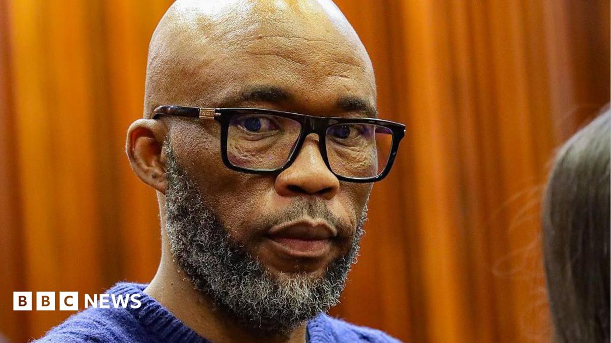 Vusimusi ‘Cat’ Matlala: Key figure at South Africa’s Madlanga Commission pleads guilty
