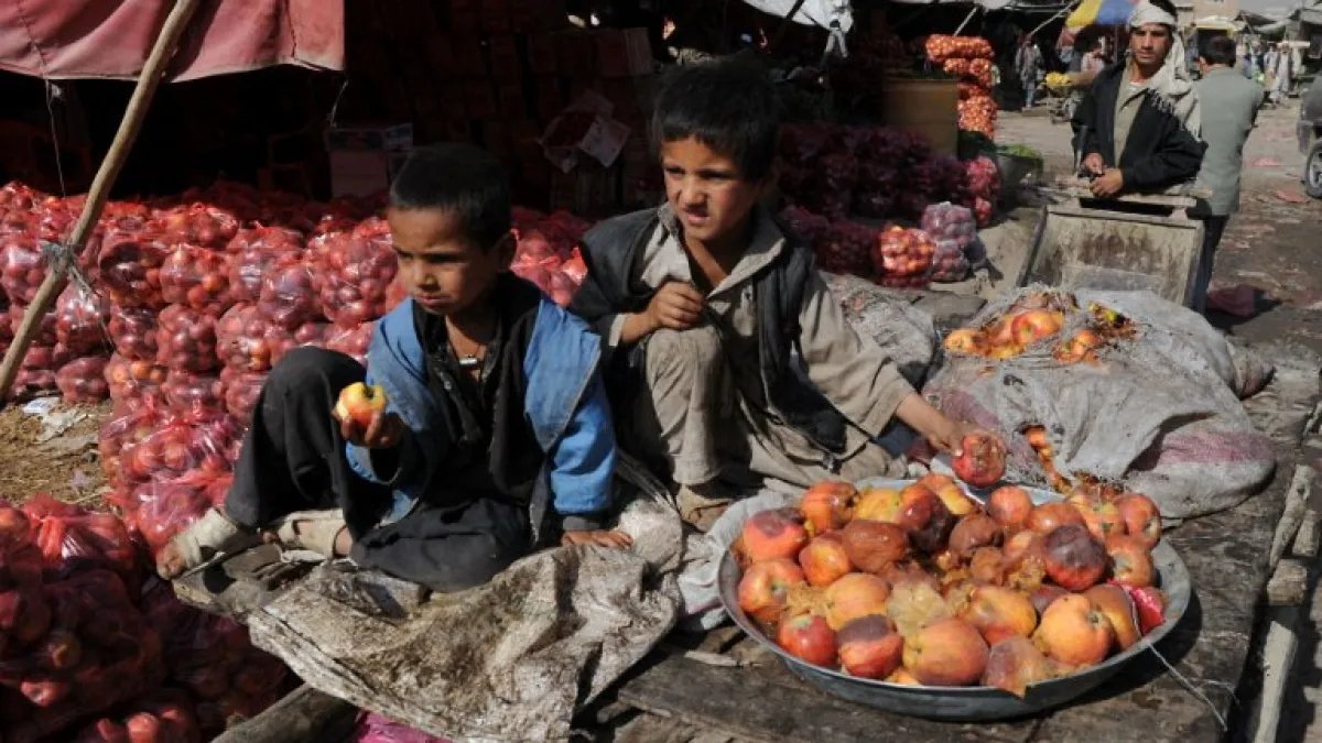 What Afghanistan’s rotten apples tell us about its non-profit sector | Poverty and Development