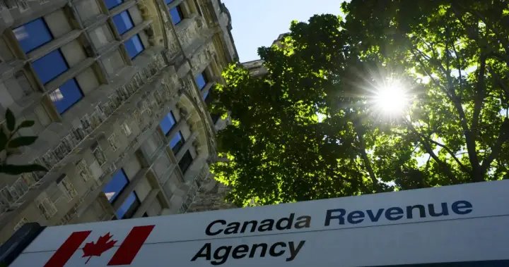 Taxpayer ombudsperson urges automatic filing for more Canadians – National