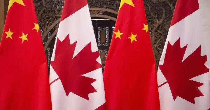 China slaps 73.5% preliminary tariff on pea starch from Canada – National