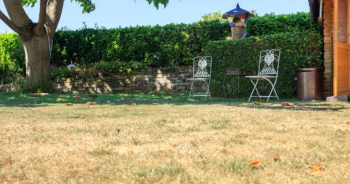 Metro Vancouver enters Stage 3 water restrictions as snowpack melts a month early – BC